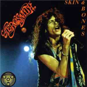 Aerosmith - Skin And Bones flac album