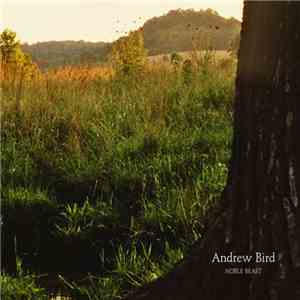 Andrew Bird - Oh No flac album
