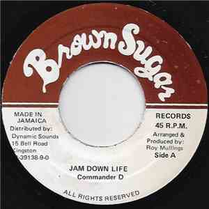 Commander D - Jam Down Life flac album