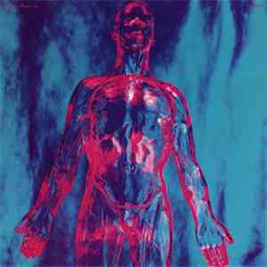 Coyote Clean Up / Phantasmagoria  - Disarm The Settlers Volume II flac album