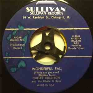 Curley Coldiron And The Circle C Boys - Wonderful Pal, Where Are You Now? / Wise Old Moon flac album