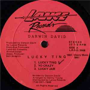 Darwin David - Lucky Ting flac album