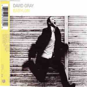 David Gray - Babylon flac album