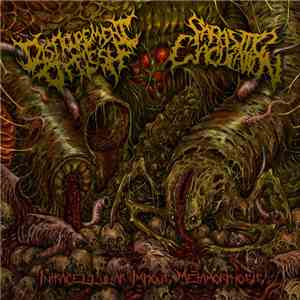 Disfigurement Of Flesh, Parasitic Ejaculation - Intracellular Impious Metamorphosis flac album