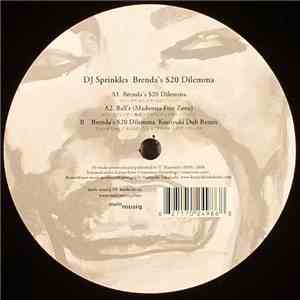 DJ Sprinkles - Brenda's $20 Dilemma flac album