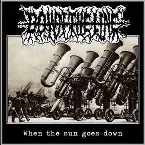 Down The Line  - When the sun goes down flac album