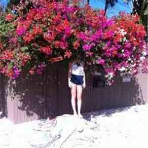 Elf Power - Sunlight On The Moon flac album