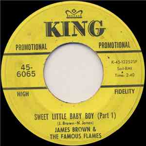 James Brown & The Famous Flames - Sweet Little Baby Boy flac album