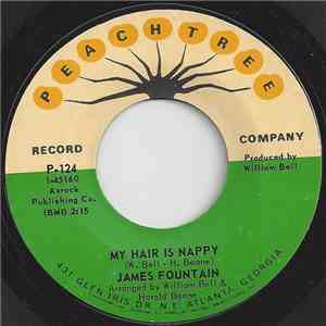 James Fountain - My Hair Is Nappy flac album