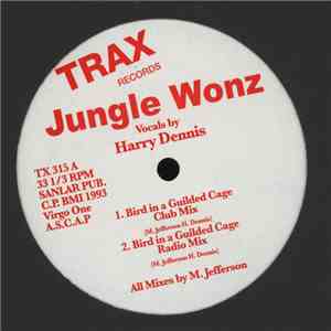 Jungle Wonz - Bird In A Guilded Cage flac album