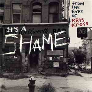 Kris Kross - It's A Shame flac album