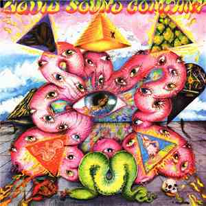 Liquid Sound Company - Exploring The Psychedelic flac album