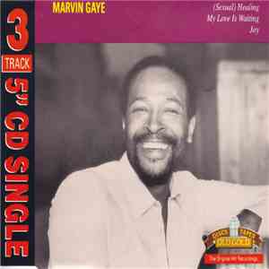 Marvin Gaye - (Sexual) Healing/My Love Is Waiting/Joy flac album