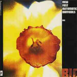 New Fast Automatic Daffodils - Big flac album