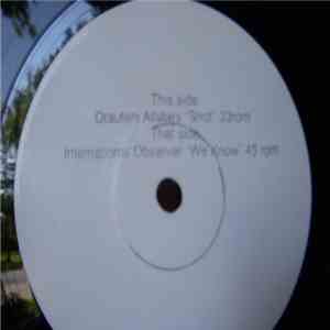 Otautahi Allstars / International Observer - Shot, We Know flac album