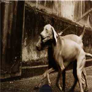 Pet Shop Boys - I Don't Know What You Want But I Can't Give It Any More flac album
