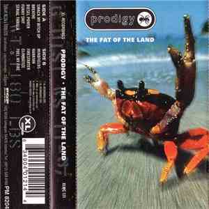 Prodigy - The Fat Of The Land flac album