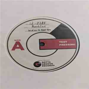 Punchline  - So Nice To Meet You flac album