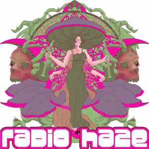 Radio Haze - Mycelium flac album