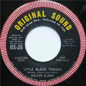 Sheldon Allman - Little Black Things flac album