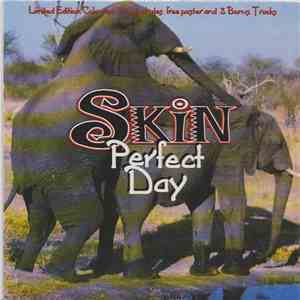 Skin  - Perfect Day flac album
