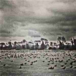 Sombre Motion - Surface 101 flac album
