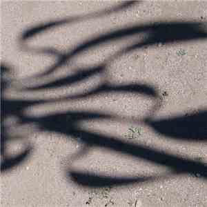 Steve Roach - Today flac album