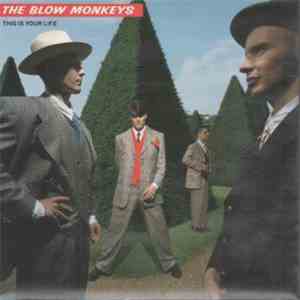 The Blow Monkeys - This Is Your Life flac album