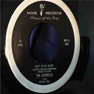 The Juveniles  - Beat In My Heart / I've Lied flac album