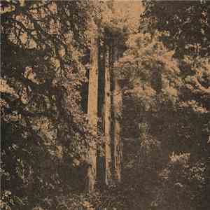 The Tunnel - Carver Brothers Lullaby flac album