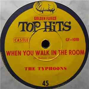 The Typhoons, Joan Baxter - When You Walk In The Room flac album