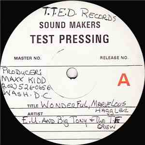 T.T.E.D. Hip Hop Rappers Featuring M.M.  and C. Rock - X-Ray flac album