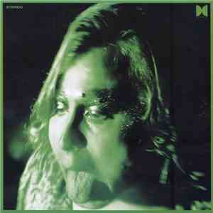 Ty Segall - Would You Be My Love flac album