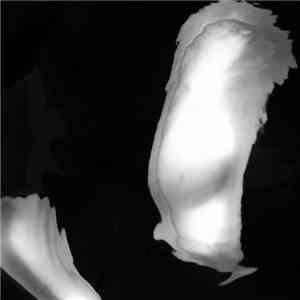 Unc / Assalti Industriali / PVS - D.A.N.C.E. 4 flac album