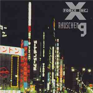 Various - Rauschen 9 flac album