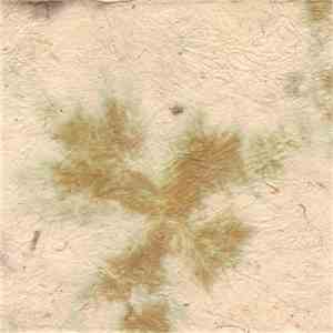 Various - Wailing Bones Volume Six flac album