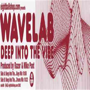 Wavelab  - Deep Into The Vibe flac album