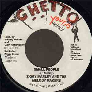 Ziggy Marley And The Melody Makers - Small People flac album