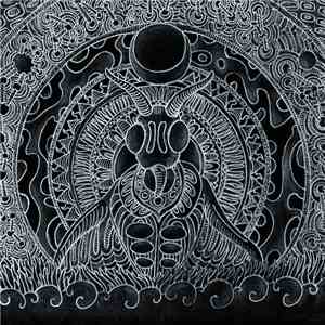 Amen Tma - Insect Phonetics Research flac album