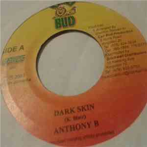 Anthony B / Lisa Dainjah - Dark Skin / The Roll Of Mom & Dad flac album