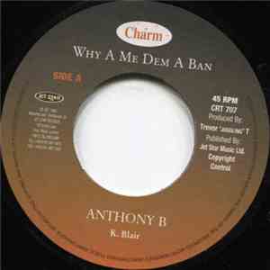 Anthony B - Why A Me Dem A Ban flac album