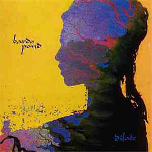 Bardo Pond - Dilate flac album