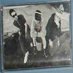 Beastie Boys - Check Your Head flac album
