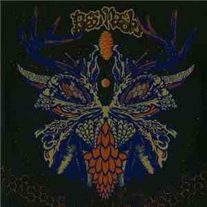 Bee Mask - Hyperborean Trenchtown flac album