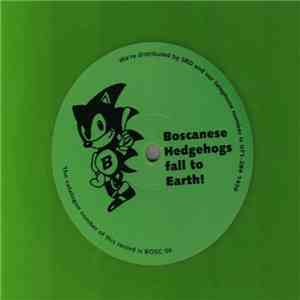 Boscanese Hedgehogs Fall To Earth - Boscanese Hedgehogs Fall To Earth flac album
