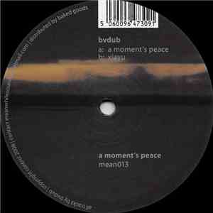 bvdub - A Moment's Peace flac album