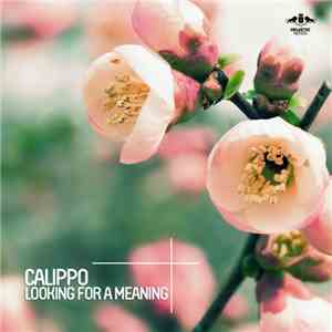 Calippo - Looking For A Meaning flac album