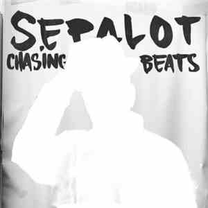 DJ Sepalot - Chasing Beats flac album
