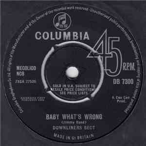 Downliners Sect - Baby What's Wrong / Be A Sect Maniac! flac album