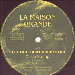 Electric Fruit Orchestra - Disco Stomp flac album